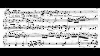 Bach BWV 24458 Aus Liebe will mein Heiland sterben [upl. by Haldi]