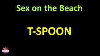 TSpoon  Sex on the Beach original mix Lyrics version [upl. by Vescuso]