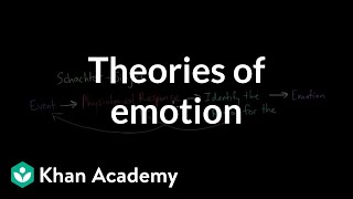 Theories of Emotion  Processing the Environment  MCAT  Khan Academy [upl. by Penrod149]