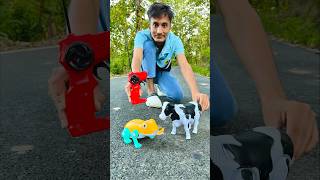 Rc Remote Control Cow 🐄 And Frog testing 😜 [upl. by Lamak]