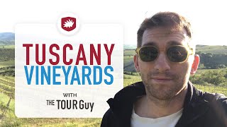 How to visit Vineyards in Tuscany [upl. by Ssyla297]