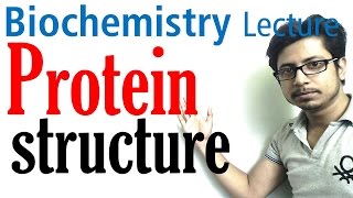 Protein structure  primary secondary tertiary and quaternary structure of protein [upl. by Neemsay191]