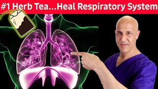 1 Respiratory Herb TeaFor Colds Coughs Mucus Congestion Difficulty Breathing  Dr Mandell [upl. by Uno59]