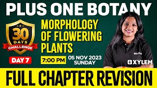 Plus One  Botany  Morphology of Flowering Plants  Xylem Plus One [upl. by Hasty]