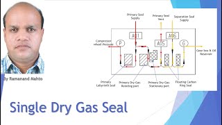 Single Dry Gas Seal System [upl. by Trevethick]