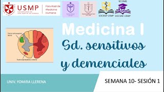 Medicina 1Sesión 14B2 Sd sensitivos y demenciales Yomira Llerena20242 [upl. by Saunderson]