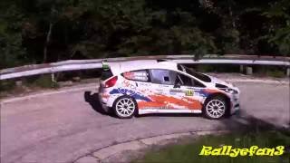 Rally Piancavallo 2016 Action [upl. by Silvanus]