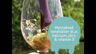 Klassisk och enkel Mojito [upl. by Taub]