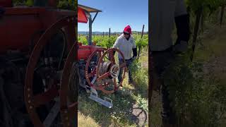 Vineyard Wire Removal  Geyserville CA [upl. by Ahsiei]