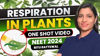 Respiration in Plants Class 11 one shot NCERT  All Concept amp PYQS  Ritu Rattewal  NEET Biology [upl. by Lashonda]