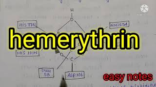 Hemerythrin Bioinorganic chemistry MSc chemistry notes  hand made notes [upl. by Colpin]