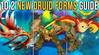 Complete Guide to All New Druid Forms in Patch 102 Guardians of the Dream WoW [upl. by Aivan530]