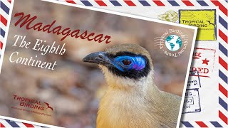 Tropical Birding Madagascar Virtual Tour by Ken Behrens [upl. by Singer]