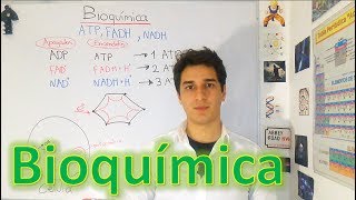 Bioquímica ATP FADH y NADH Nivel experto para principiantes EN 7 MINUTOS [upl. by Yanehs]