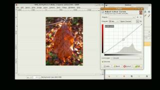 Gimp Tutorial  Quick and basic photo editing [upl. by Brie]