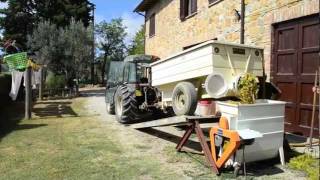 Vendemmia Harvest Tuscany Italy 2011 [upl. by Milzie]