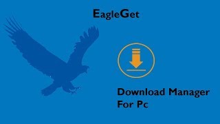 EagleGet Download Manager For Pc  2018 [upl. by Monto]