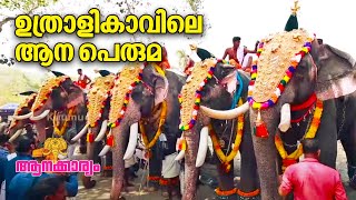 EP 56  ഉത്രാളികാവിലെ ആന പെരുമ  Uthralikavu Pooram 2023 [upl. by Suivat]