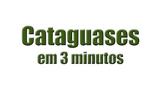 Cataguases em 3 minutos [upl. by Long967]