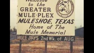 Muleshoe [upl. by Sauls]