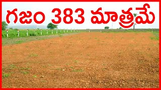 గజం 383 మాత్రమే Sq Yard Only 383 Rupees 9550358578 Half Acre Only 925 Lakhs Offer Near Narayankhed [upl. by Reffineg]