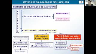 Aula 5 Método de Coloração de Ziehl Neelsen [upl. by Orlanta]