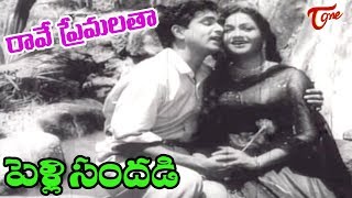 Pelli Sandadi Songs  Raave Naa Premalatha  ANR  Anjali Devi  OldSongsTelugu [upl. by Heinrich]