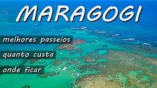 O QUE FAZER EM MARAGOGI ALAGOAS VEJA O CARIBE BRASILEIRO AS MELHORES PRAIAS E AS PISCINAS NATURAIS [upl. by Naelopan]