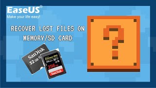 Memory SD Card Recovery  Recover Lost Files on MemorySD Card [upl. by Kammerer]