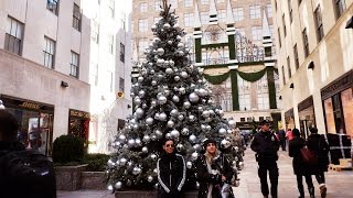 Mira las vitrinas navideñas más bellas de NY [upl. by Barhos]