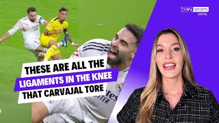 🫤 What are all the ligaments that Dani Carvajal suffered in his knee Ana Quiles has all the info 🤕 [upl. by Jacoby543]