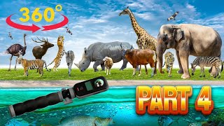 360° Thrissur Zoo And Museum Part 4 sarathtv 360degree zoo museum keralatourism travel [upl. by Paget]