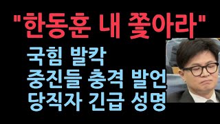 尹탄핵 주장한 한동훈에게 쏟아진 폭풍비난 quot직무정지는 尹 아닌 한동훈quot [upl. by Anitsyrhk]