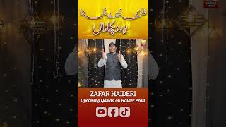 Upcoming Qasida on Haider Prast 2024 Shorts YouTubeShorts Viral Trending New Explore islamic [upl. by Verras487]