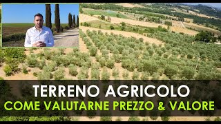 Come valutare il Prezzo di un Terreno Agricolo  Gli aspetti Ambientali più importanti [upl. by Ardnassac]