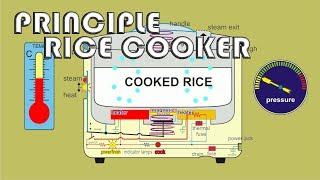 Animation principle how to work rice cooker rice warmer [upl. by Ainsworth]