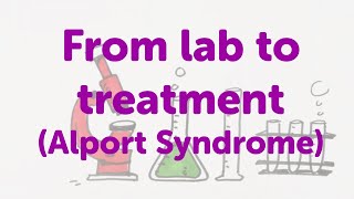 Minute Lecture From lab to treatment Alport Syndrome [upl. by Assened509]