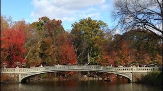 Official fall outlook tells US what weather to expect this autumn [upl. by Anoblav564]