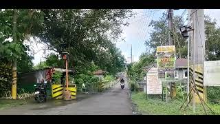 Tayabas  Sariaya  Candelaria Drive [upl. by Nitsud]