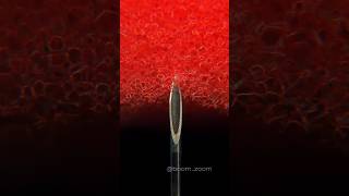 Syringe amp Sponge ASMR The Science of Tingles [upl. by Afira]