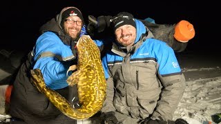 Ice Fishing GIANT Eelpout in Minnesota  How to Catch [upl. by Namruht323]