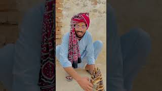 Jadu gar pagal ho gya funny comedyvideos comedy shorts [upl. by Ielak558]