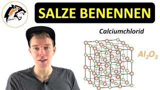 Salze benennen Nomenklatur  Chemie Tutorial [upl. by Ylrehc]