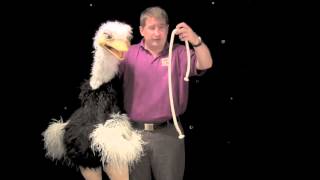 PUPPETRY FOR BEGINNERS  Part 5 Tricks [upl. by Noissap]