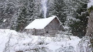 cold winter night in an abandoned hunters log cabin [upl. by Nnylsor]