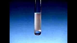 Barium Chloride and Sodium Sulfate [upl. by Sukey5]