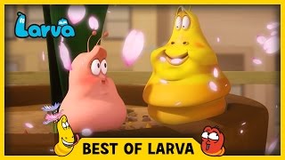 LARVA  BEST OF LARVA  Cartoons  Comics  LARVA 2017 WEEK 14 [upl. by Eoin]