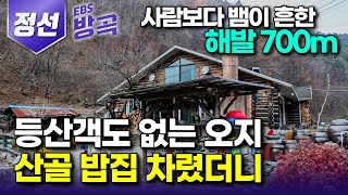 강원 정선 사람 한 번 보려면 1시간을 걸어야 하는 해발 700m 손님 없는 오지에 밥집 차린 부부｜가마솥 연기 그치는 날 없이 손님 찾아오는 산골 밥집｜한국기행 방방곡곡 [upl. by Livesay]