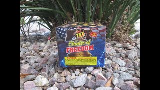 TNT Fireworks  Chimes of Freedom 12 shots 200 g cake [upl. by Ynner717]