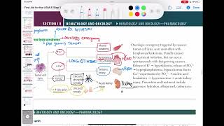 tumor lysis syndrome haematology 93 First Aid USMLE Step 1 in UrduHindi [upl. by Harbed]